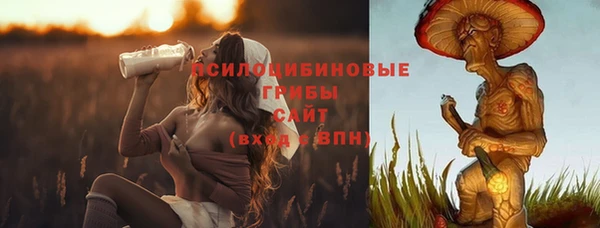 mdma Горнозаводск
